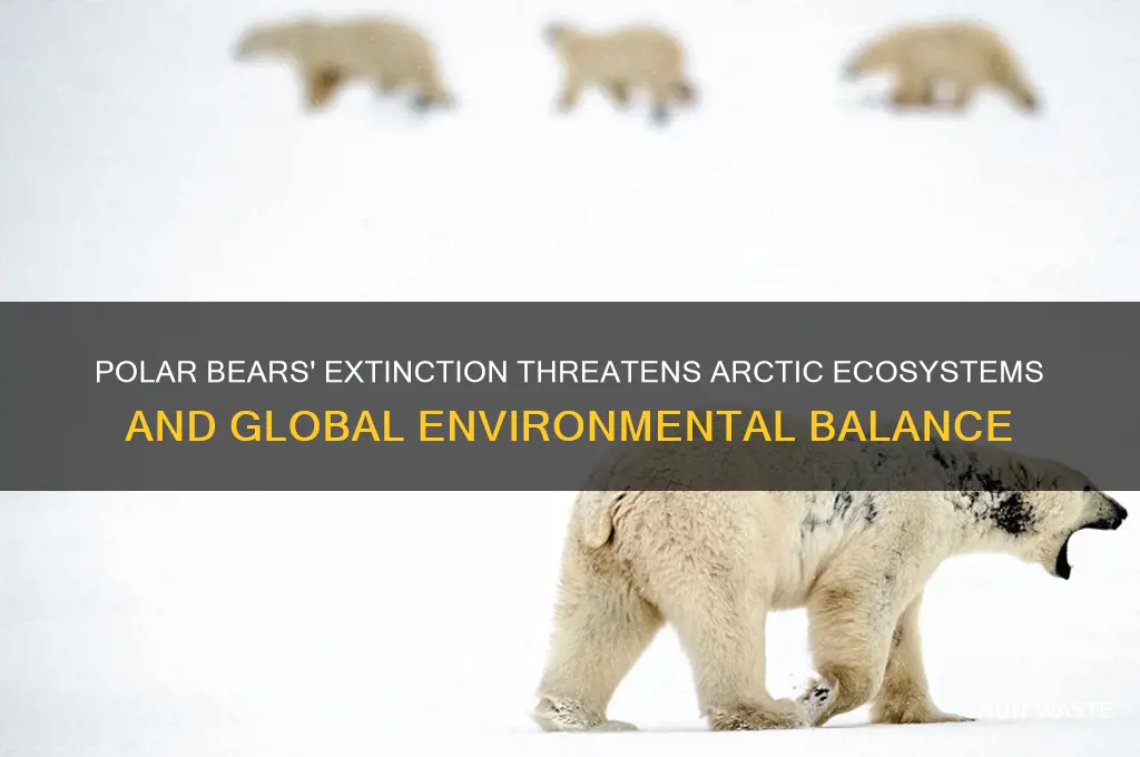 how does polar bears going extinct affect the environment