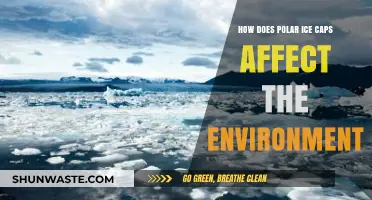 Polar Ice Caps: Their Crucial Role in Shaping Earth's Environment