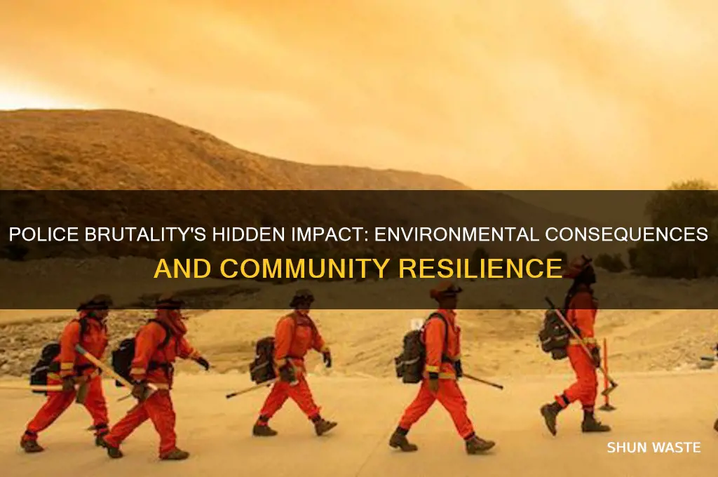 how does police brutality affect the environment