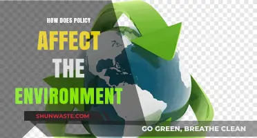 Policy's Impact: Shaping Environmental Outcomes and Sustainability