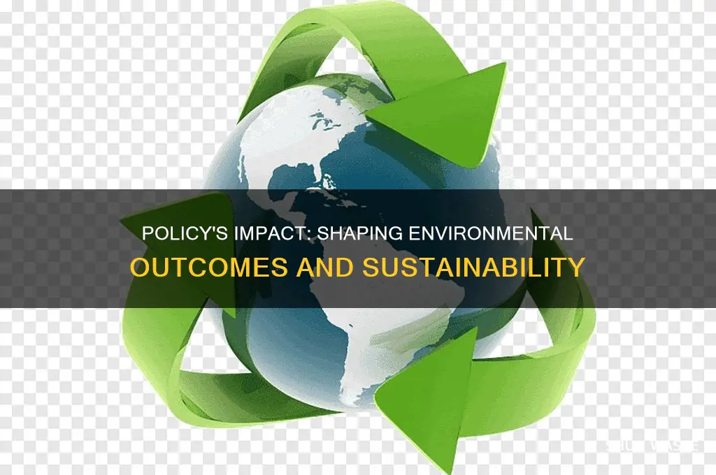 how does policy affect the environment