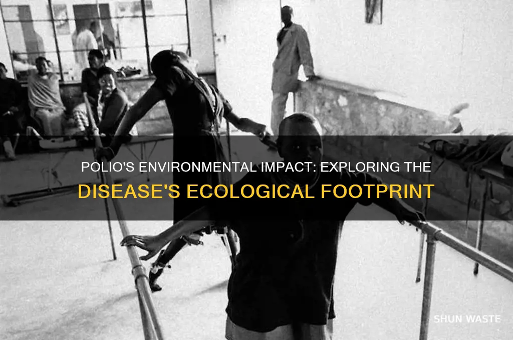 how does polio affect the environment
