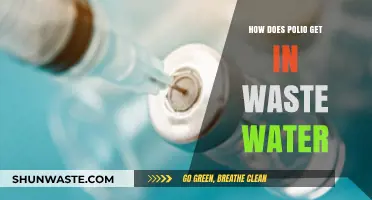 Polio in Wastewater: Understanding Transmission and Detection Methods