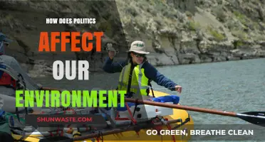Political Decisions and Their Impact on Our Environment