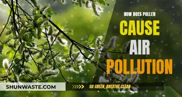 Pollen's Impact: Air Pollution and Health