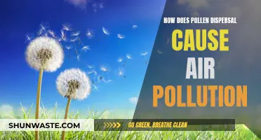 Pollen's Hidden Impact: Unveiling the Allergenic Air Pollution Mystery