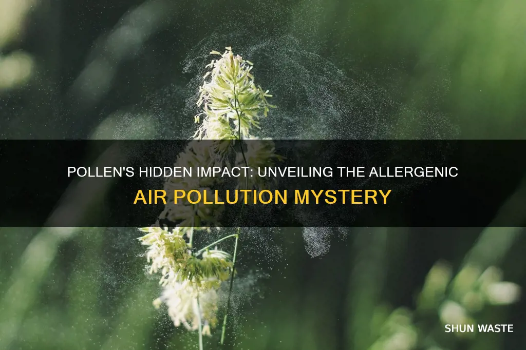 how does pollen dispersal cause air pollution