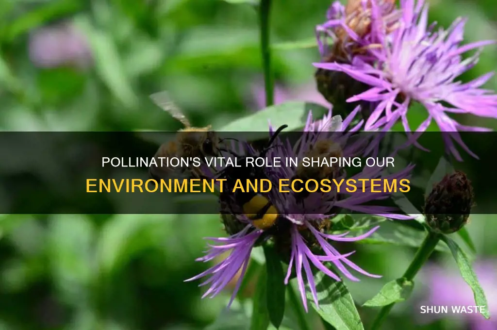 how does pollination affect the environment