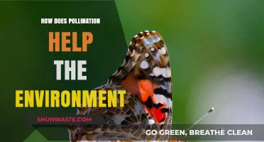 Pollination's Vital Role: Sustaining Ecosystems and Environmental Health