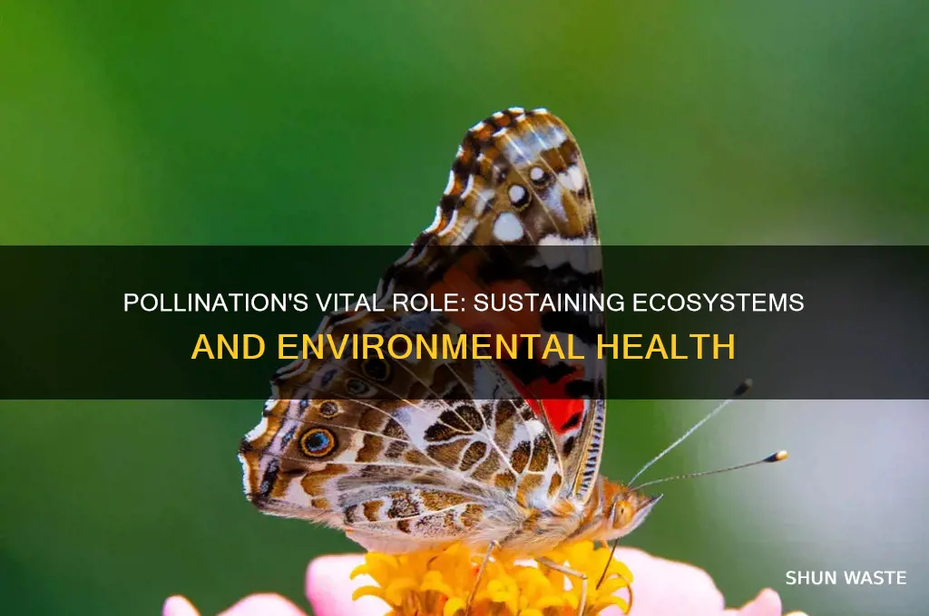 how does pollination help the environment