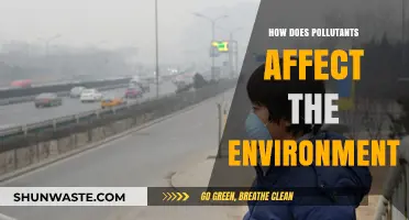 Pollution's Impact: How Pollutants Harm Our Environment and Ecosystems