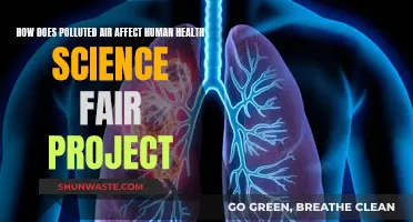 Air Pollution's Impact on Human Health: Science Project