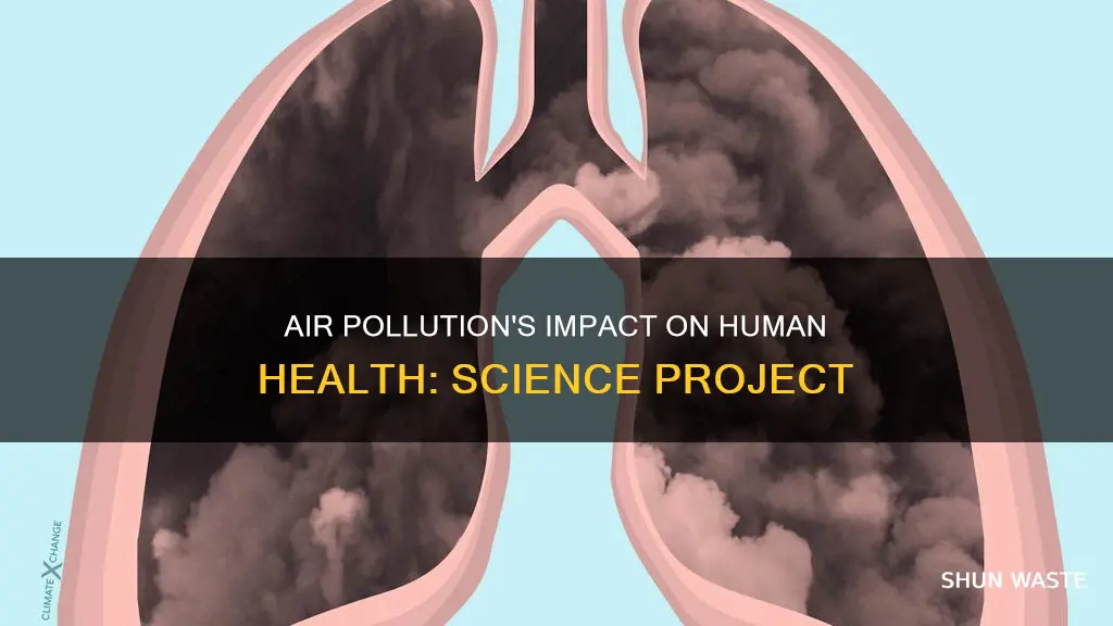 how does polluted air affect human health science fair project