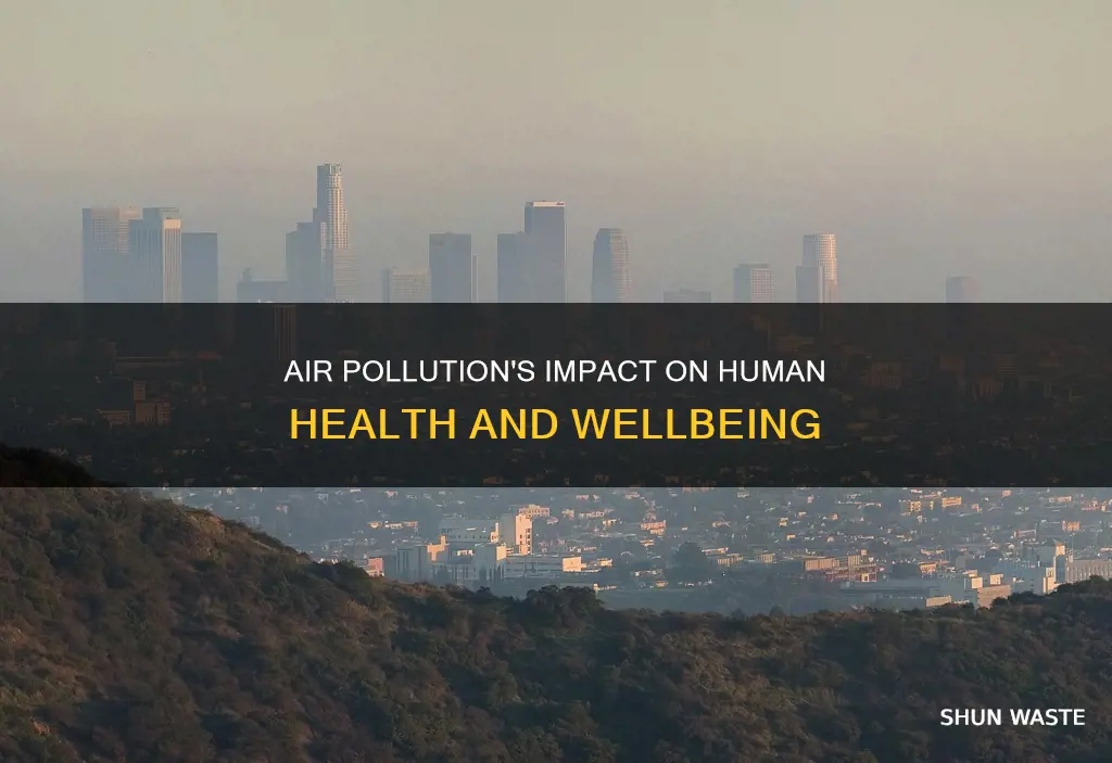 how does polluted air affect human health