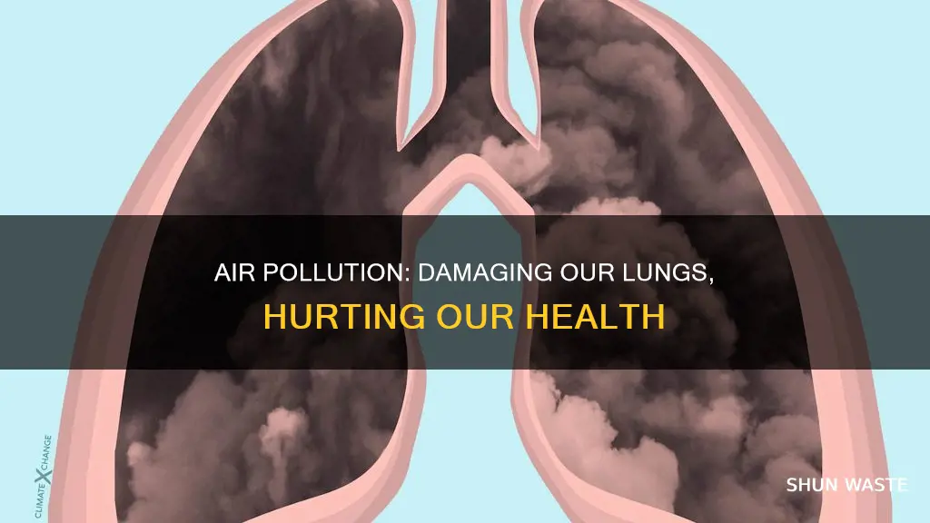how does polluted air affect our lungs
