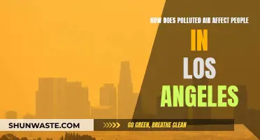 Los Angeles' Air Pollution: Impact on Angelinos' Health