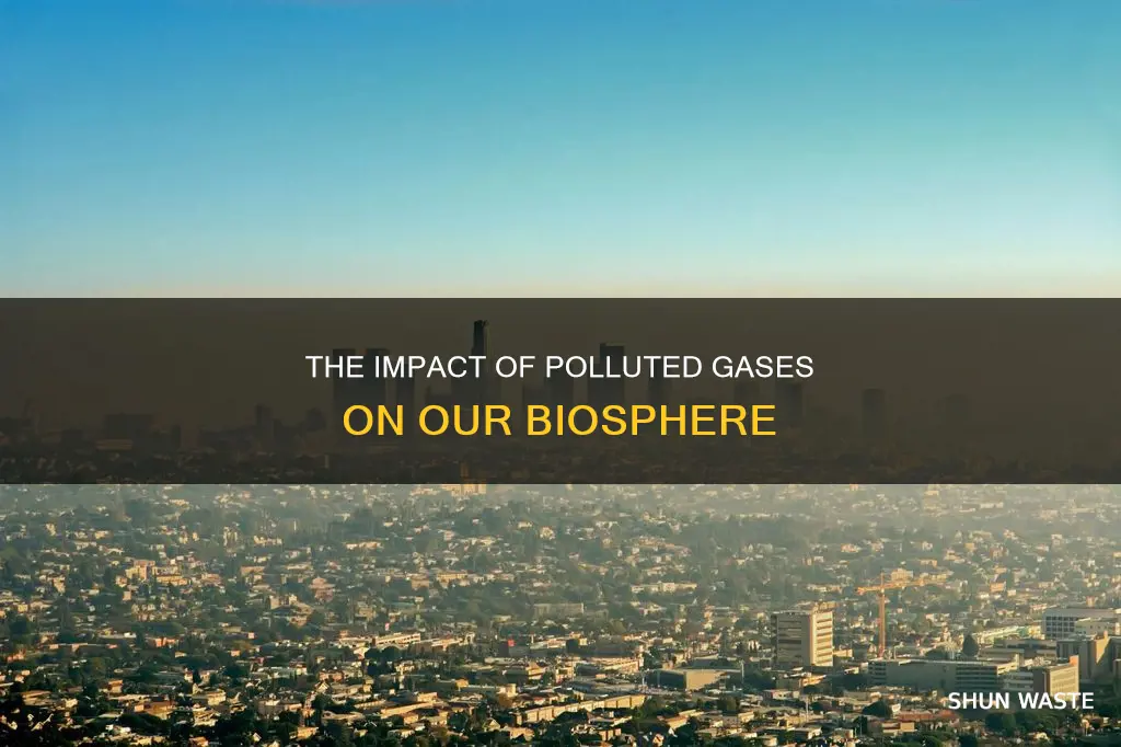 how does polluted gases affect biosphere