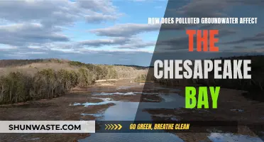 Groundwater Pollution: Impact on Chesapeake Bay's Health