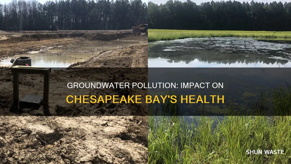 how does polluted groundwater affect the chesapeake bay