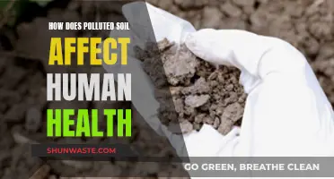 Soil Pollution: Human Health Hazards and Risks