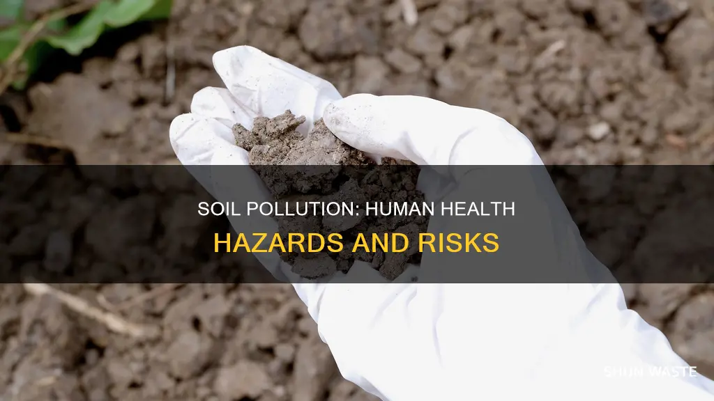 how does polluted soil affect human health