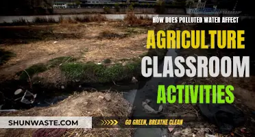 Water Pollution's Impact on Agriculture: Classroom Activity Ideas