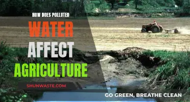 Polluted Water's Impact on Agriculture: A Growing Concern