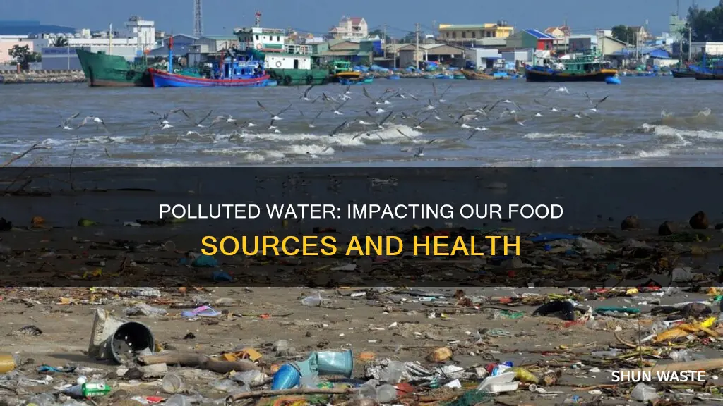 how does polluted water affect food