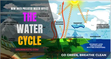 Water Cycle's Complex Dance with Pollution