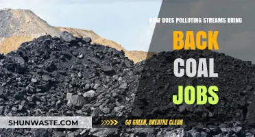 Stream Pollution: Can Coal Jobs Return?