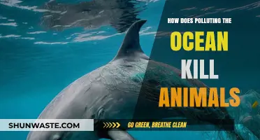 Ocean Pollution: A Deadly Threat to Marine Life
