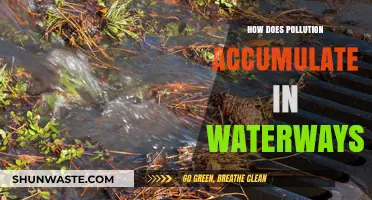 Waterways Pollution: Understanding Sources and Accumulation