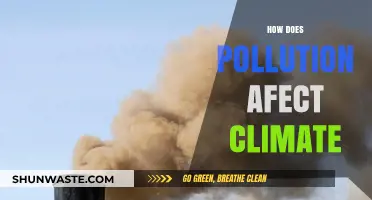 Climate Change: Pollution's Impact Explained