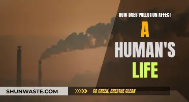 Pollution's Impact: A Human Story