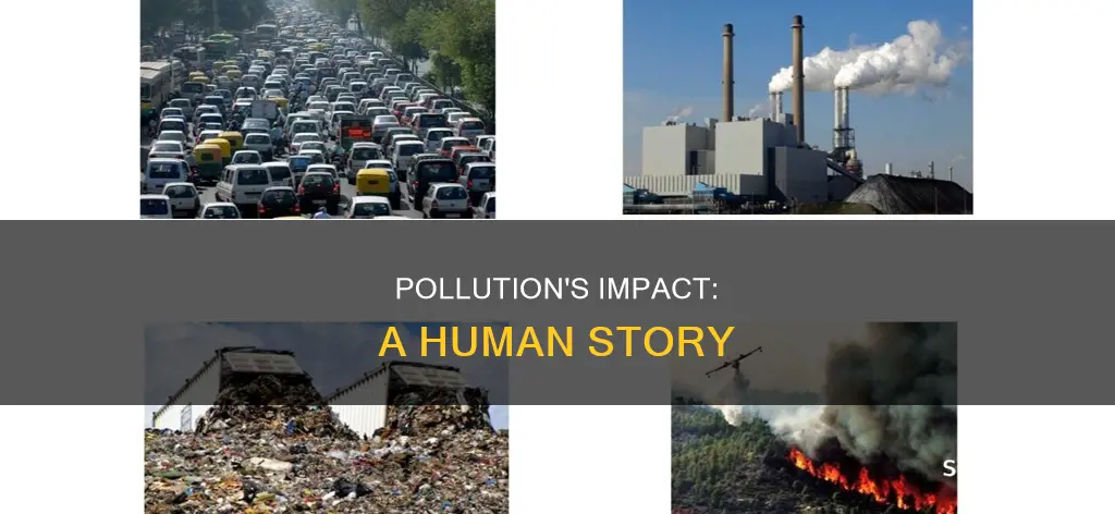 how does pollution affect a human