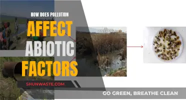 Pollution's Impact: Understanding Abiotic Factors' Vulnerability