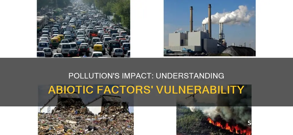 how does pollution affect abiotic factors