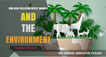 Pollution's Devastating Impact: Animals, Ecosystems, and Our Fragile Environment