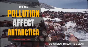 Antarctica's Pollution: Impact and Future Concerns