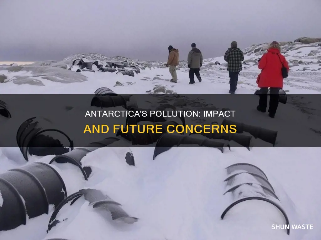 how does pollution affect antarctica