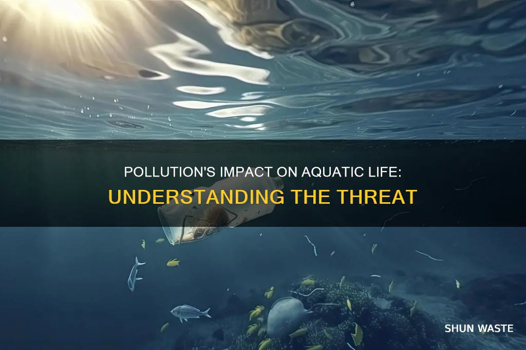 how does pollution affect aquatic animals