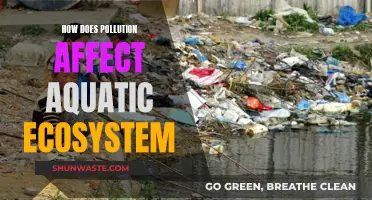 Pollution's Impact on Aquatic Ecosystems: A Troubling Reality