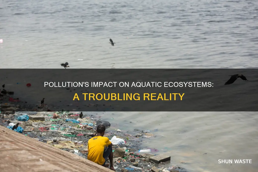 how does pollution affect aquatic ecosystem