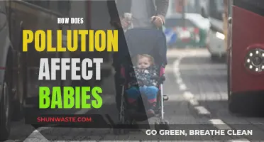 Pollution's Harmful Impact on Babies' Health and Development