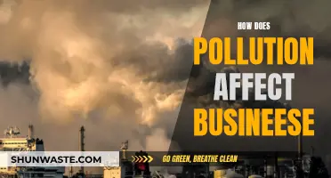 Pollution's Impact: Business Losses and Health Hazards