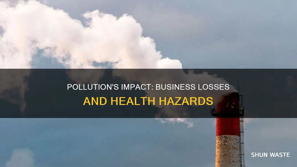 how does pollution affect busineese