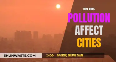 Pollution's Impact: Cities' Future at Stake