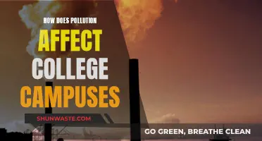 Pollution's Impact on Campuses: A Student Health Concern