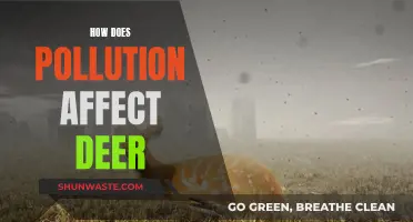 Pollution's Impact: Deer Health and Habitat