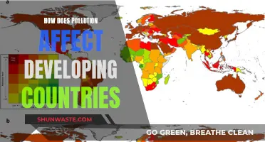 Pollution's Impact on Developing Countries: A Critical Analysis